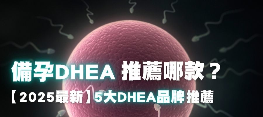 2025最新，高齡備孕、卵巢早衰DHEA推薦？5大品牌整理